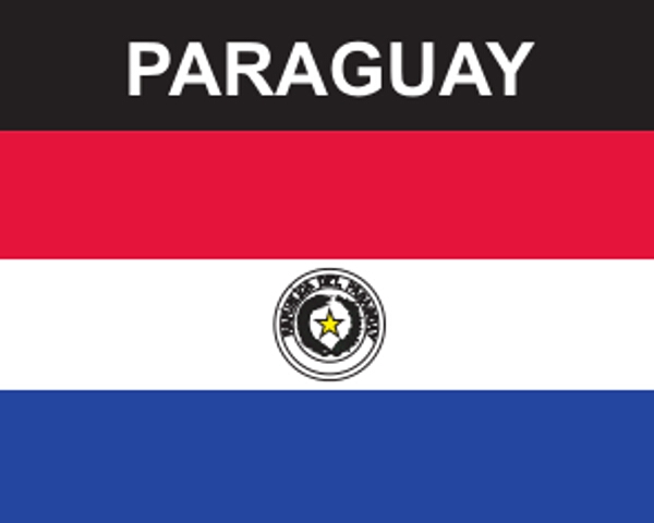 Flaggenaufkleber Paraguay