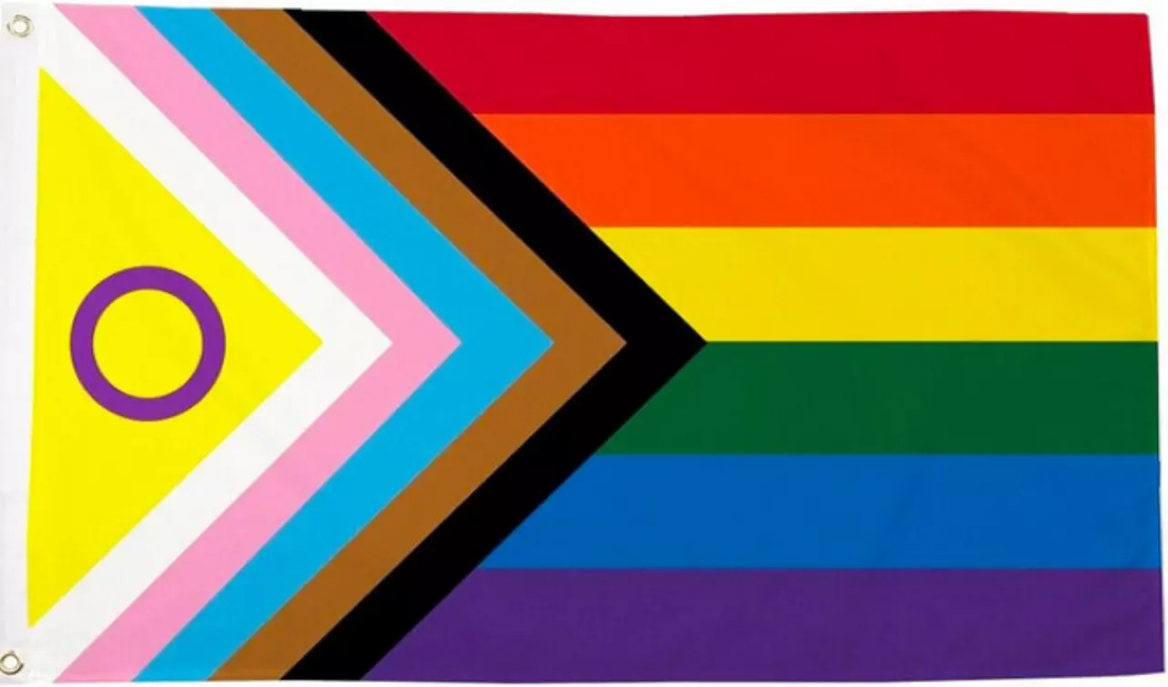 Intersex Pride Flagge, gekennzeichnet durch überlappende Dreiecke auf der linken Seite, die eine dynamische Bewegung symbolisieren. Das vorderste Dreieck zeigt einen gelben Hintergrund mit einem lila Kreis, das zentrale Symbol der Intersex-Gemeinschaft, w
