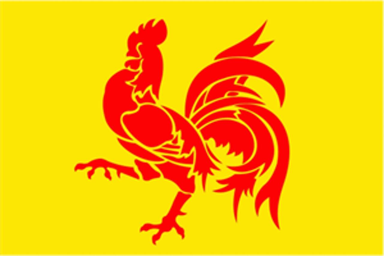 Flagge Wallonien