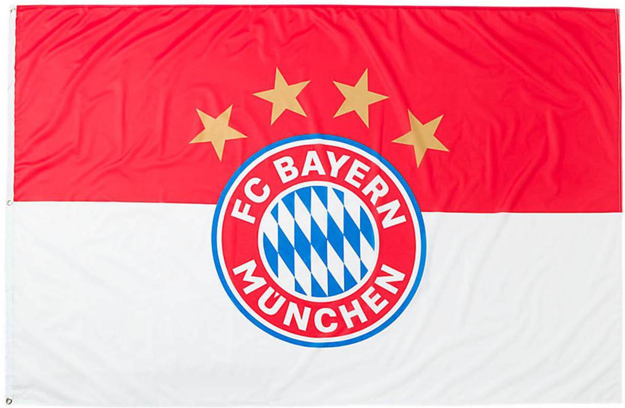 Bayern München Hissflagge Logo klein