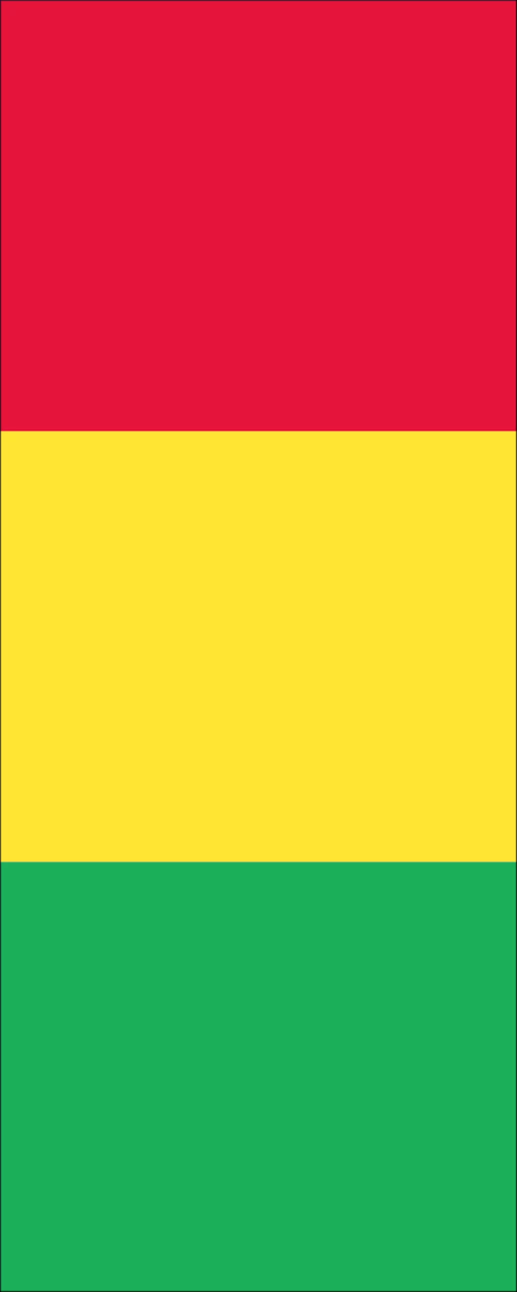 Flagge Guinea