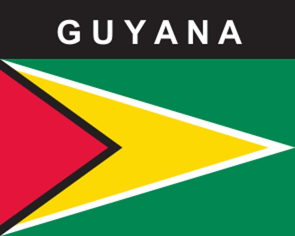 Flaggenaufkleber Guyana