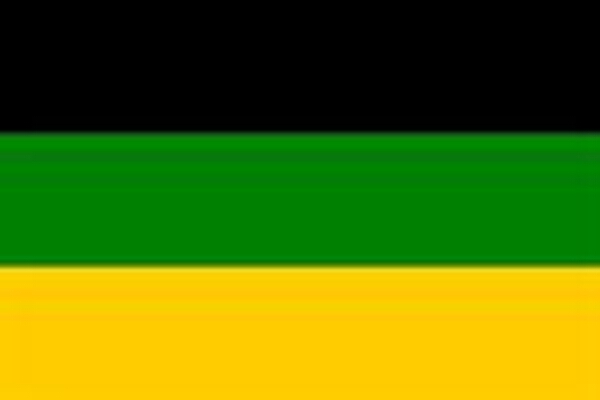 Flaggenaufnäher ANC (African National Congress)