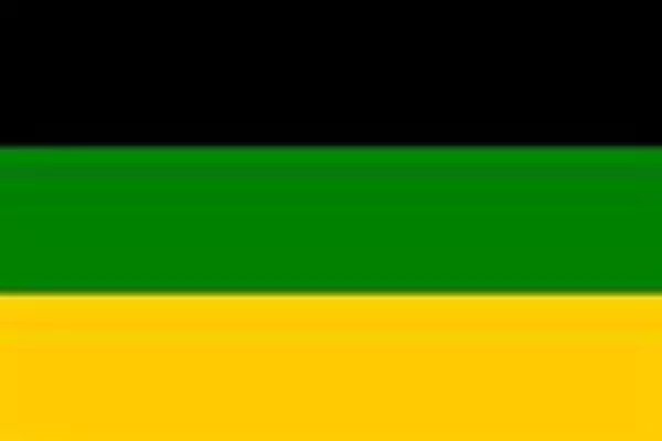 Flaggenaufnäher ANC