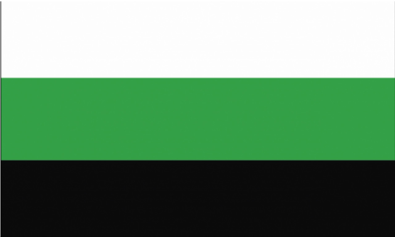 Die Neutois Flagge repräsentiert die Identität von Neutrois-Personen. Mit ihren Farben und ihrem Design zeigt sie die Vielfalt und Einzigartigkeit dieser Geschlechtsidentität. Zeigen Sie Ihre Unterstützung und Akzeptanz mit dieser wunderschönen Flagge.