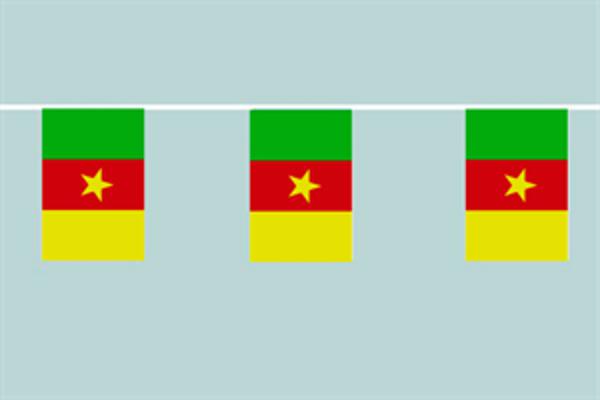 Flaggenkette Kamerun 6 m 8 Flaggen