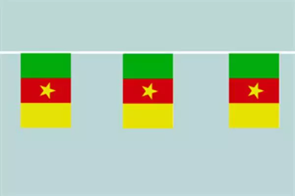 Flaggenkette Kamerun