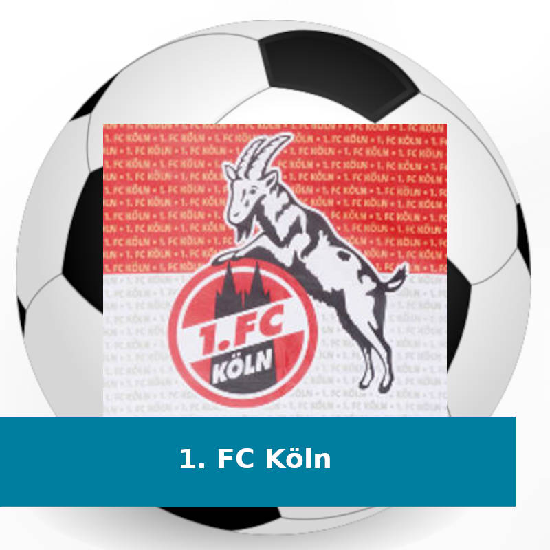 FC Köln Fahne 1 Hissfahne 100x150cm  ** Wappen ** 2 Ösen 