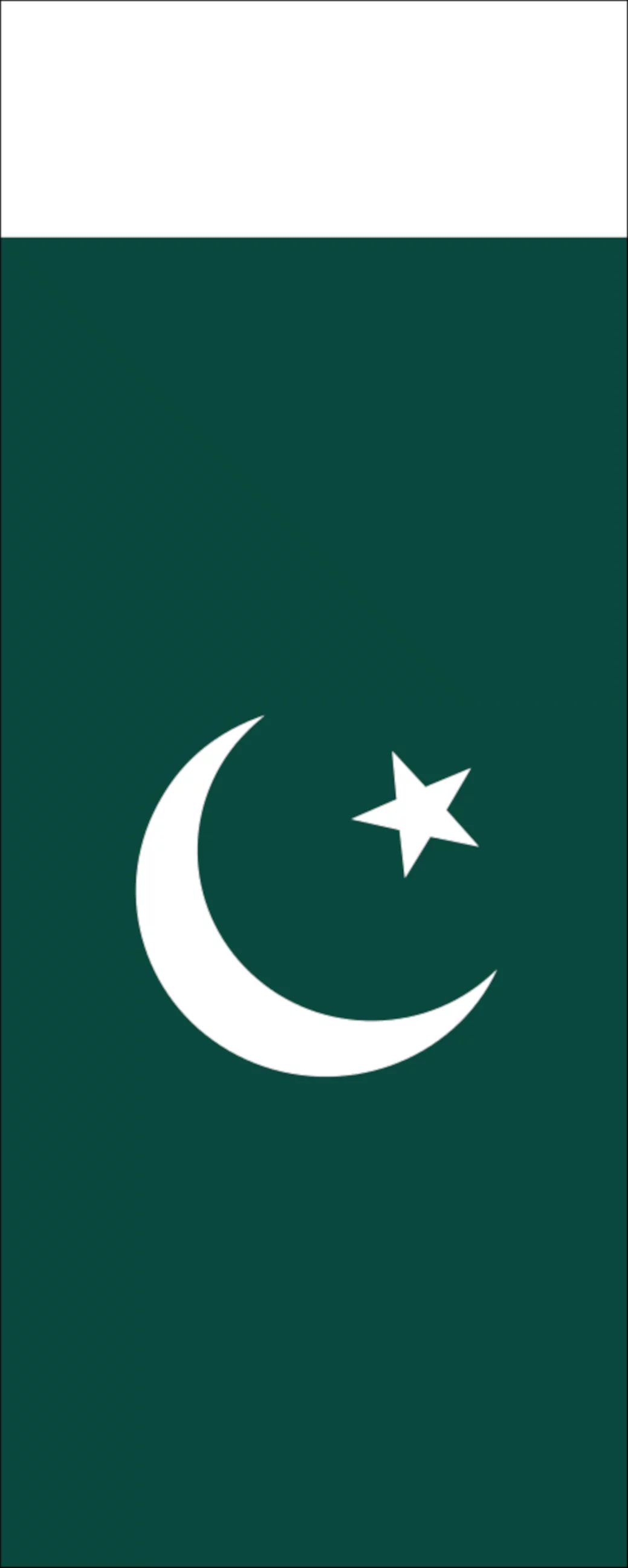 Flagge Pakistan