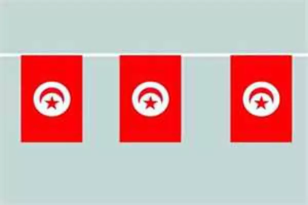 Flaggenkette Tunesien