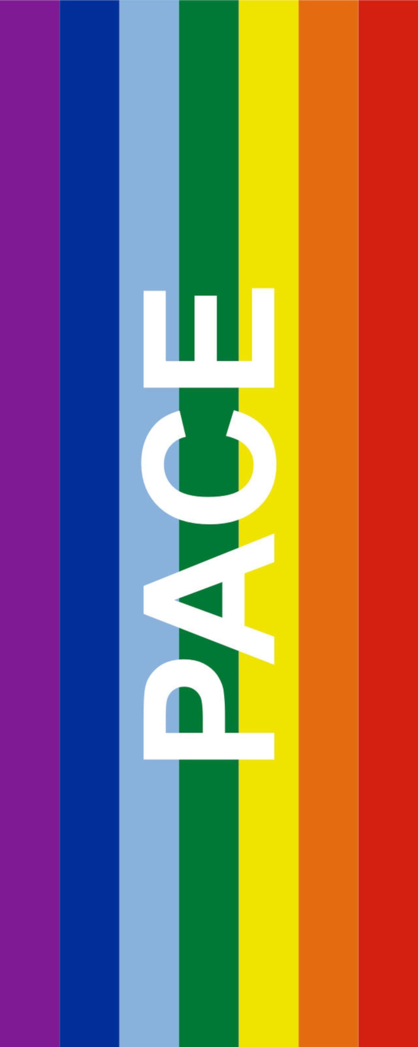 Flagge Regenbogen PACE Hochformat