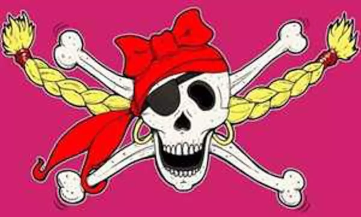 Flagge Piratenprinzessin