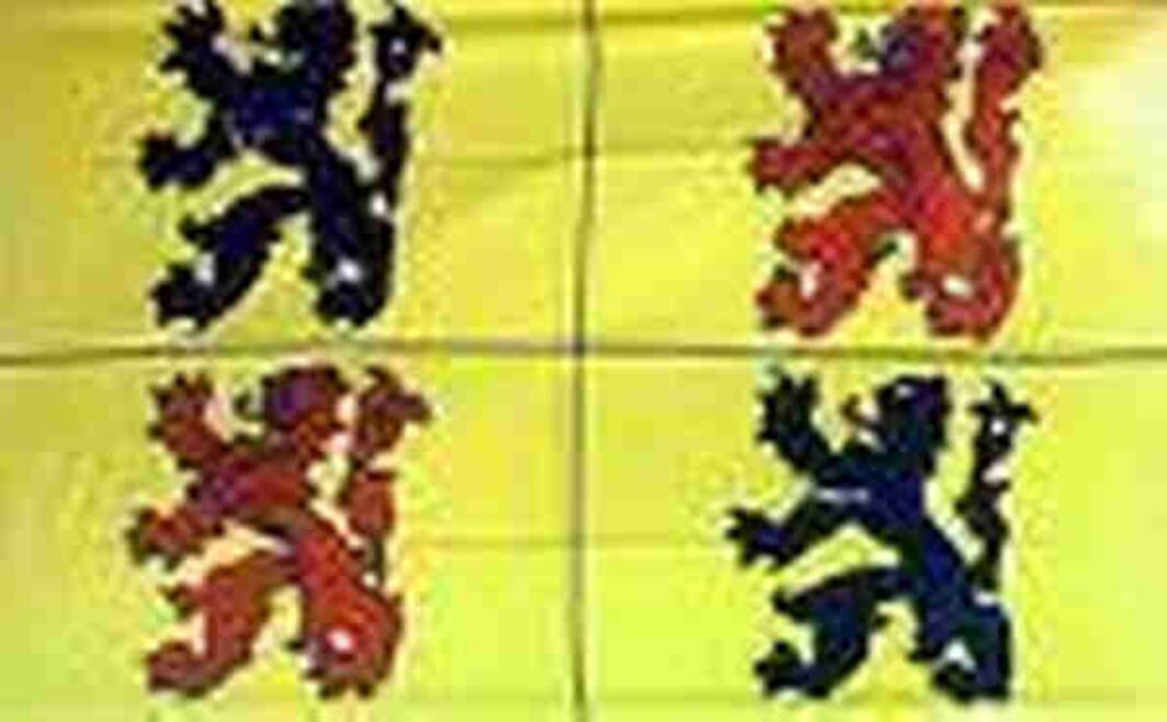 Flagge Hainaut
