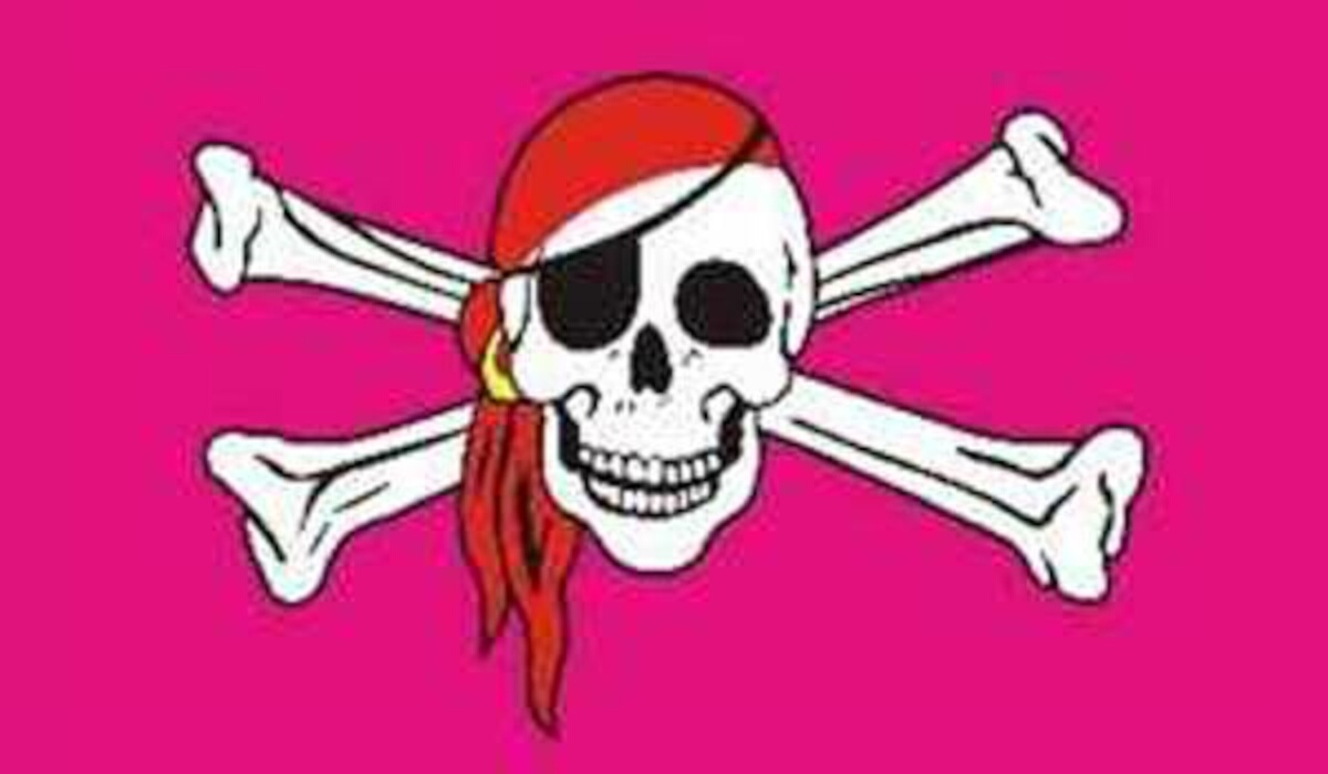 Flagge Pirat Pink