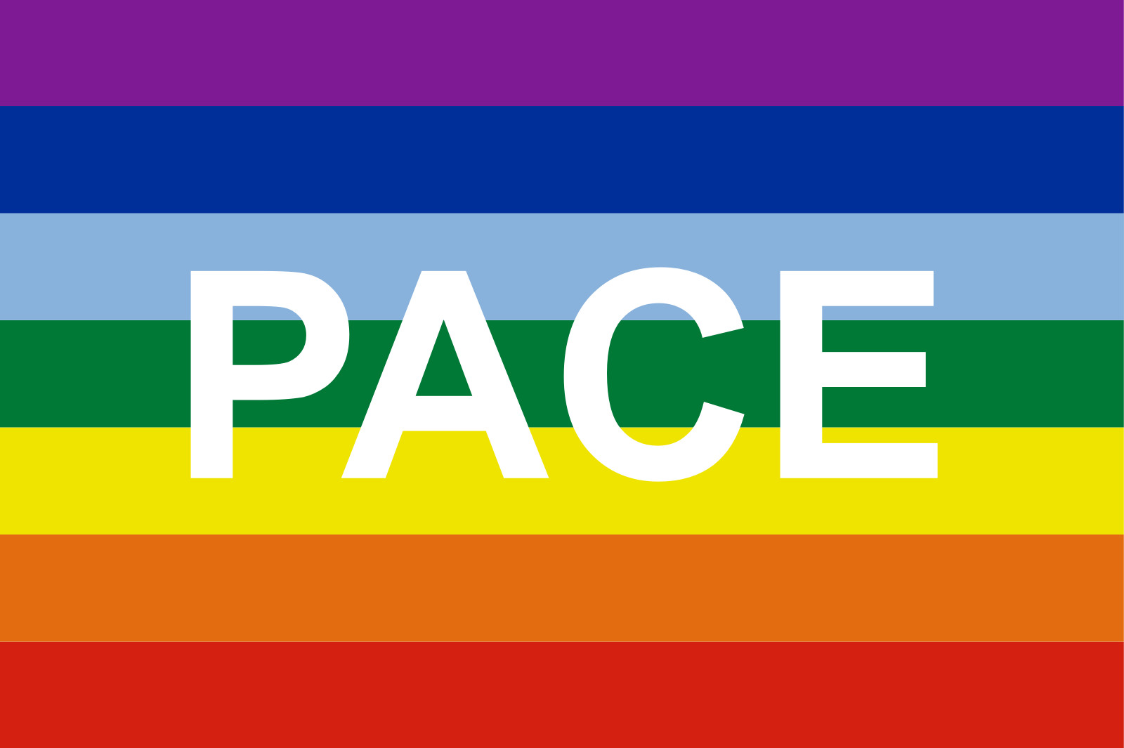 Flagge Regenbogen PACE 